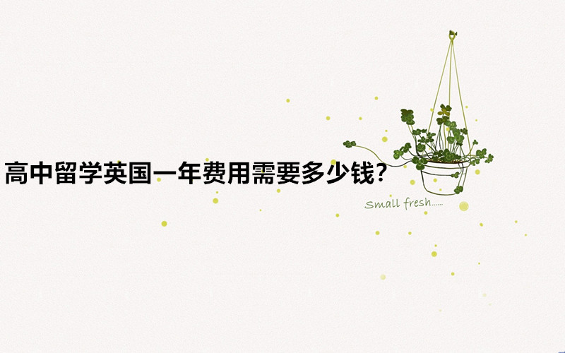 W(xu)ӢW(xu)ҪʲôlW(xu)ӢһM(fi)ҪX
