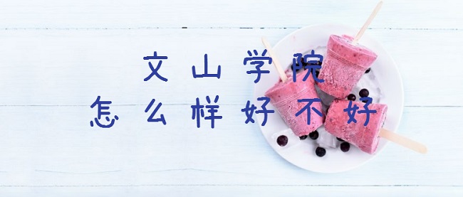 文山學(xué)院怎么樣好不好（什么檔次、王牌專業(yè)、就業(yè)率、口碑評價）
